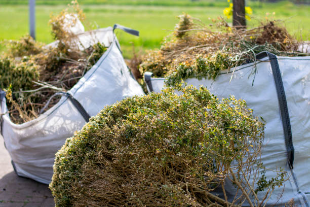 Best Yard Waste Removal  in Morningside, MD